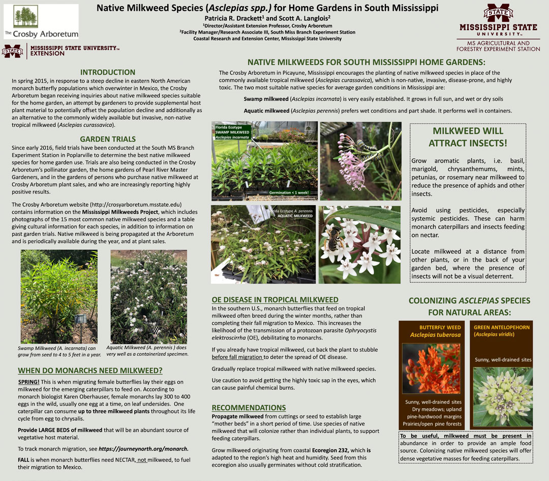 Native Milkweed Species (Asclepias spp.) for Home Gardens in South Mississippi document
