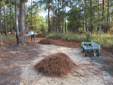 volunteers rake arboretum paths